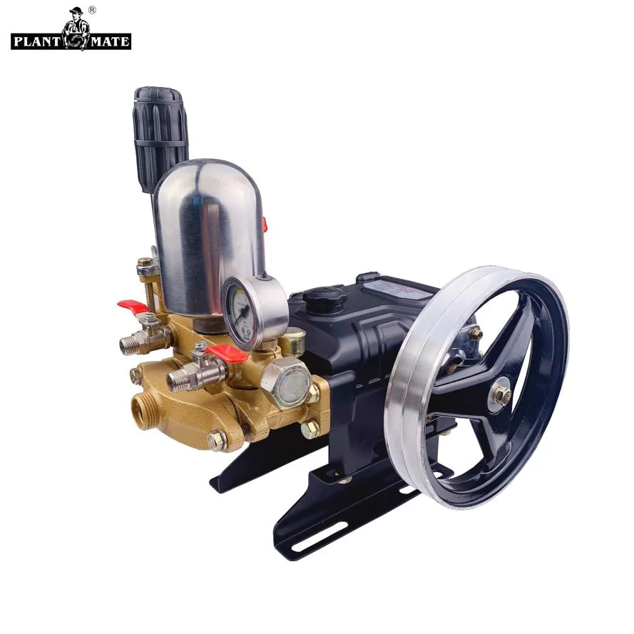 Agriculture High Pressure Three Cylinder 3 Piston Triplex Plunger Water Pump