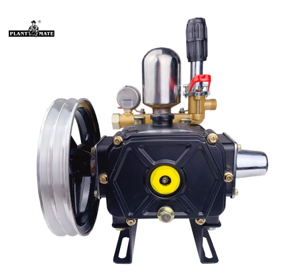 Agriculture High Pressure Three Cylinder 3 Piston Triplex Plunger Water Pump